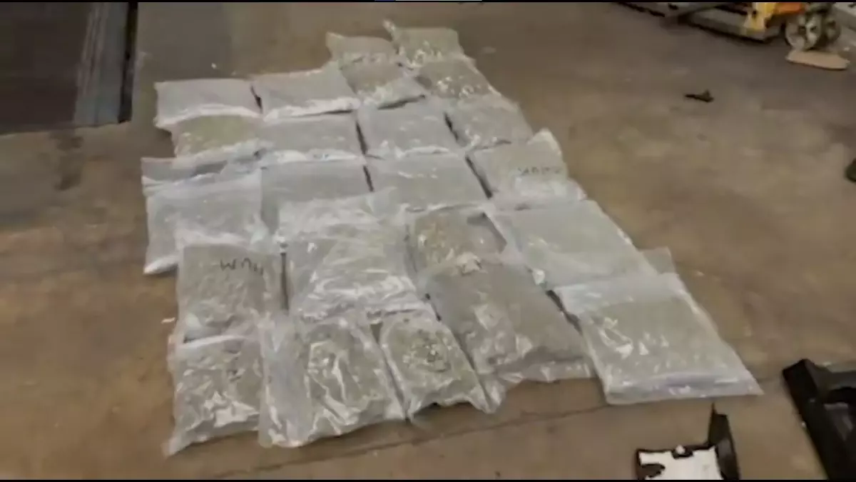 Kapıkule\'de 23 Kilo Skunk Ele Geçirildi