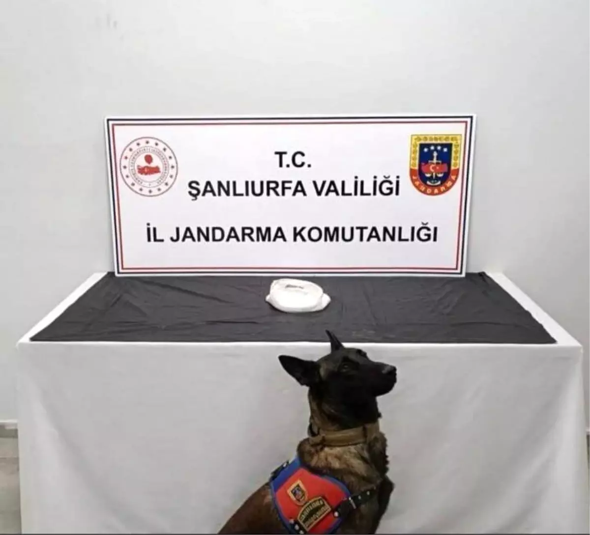 Şanlıurfa\'da Narkotik Operasyonu: 2 Gözaltı