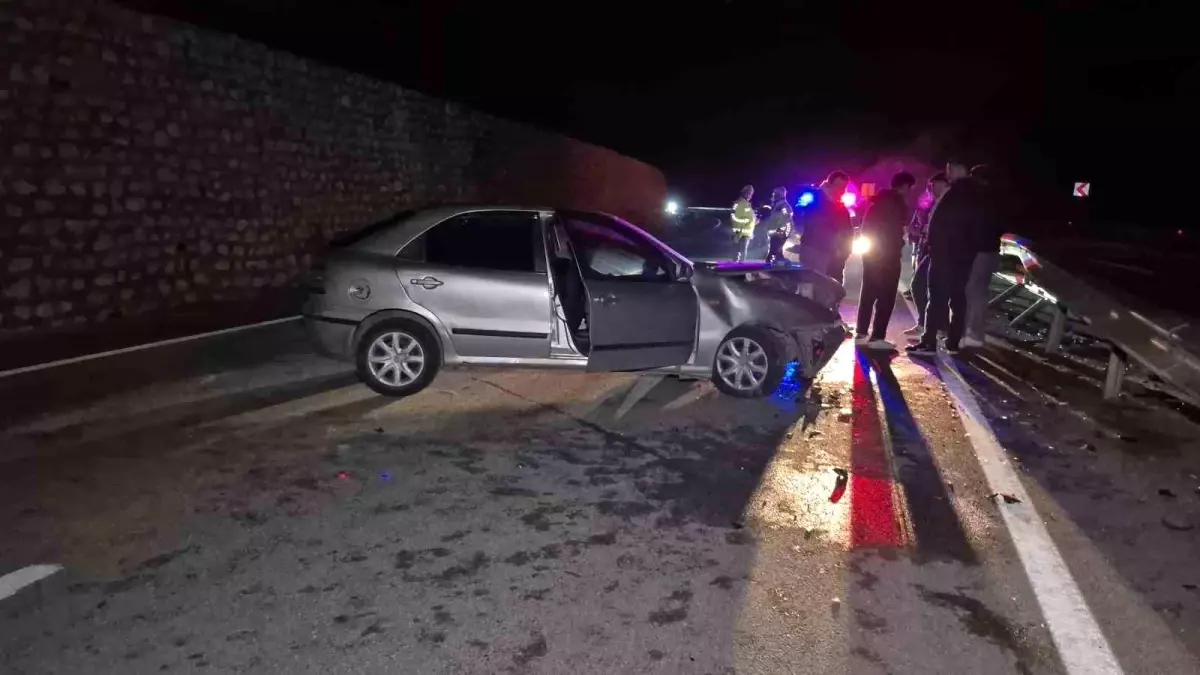 Yaban Hayvanı Kazaya Neden Oldu