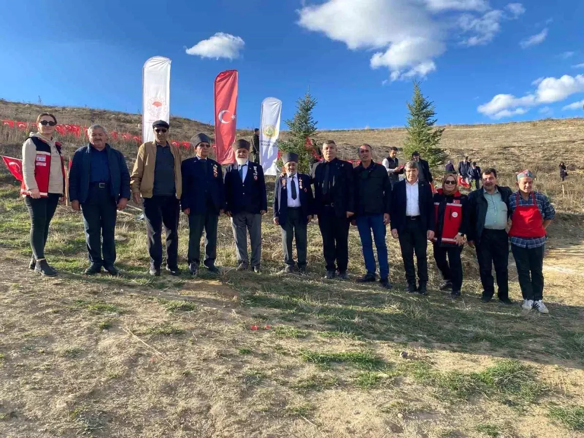 Bozüyük\'te şehitler anısına fidan dikimi