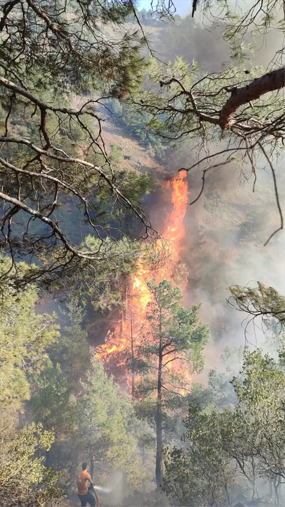 Belen\'de Orman Yangınına Müdahale Ediliyor