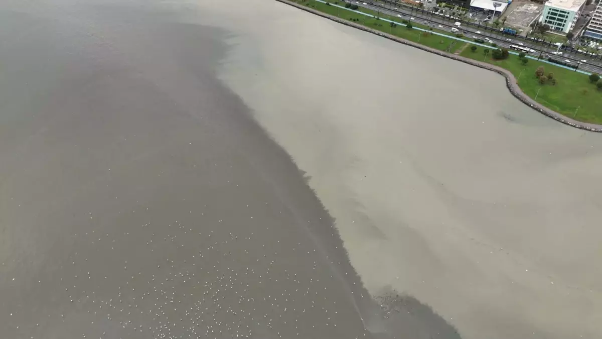 İzmir Körfezi Kahverengiye Döndü