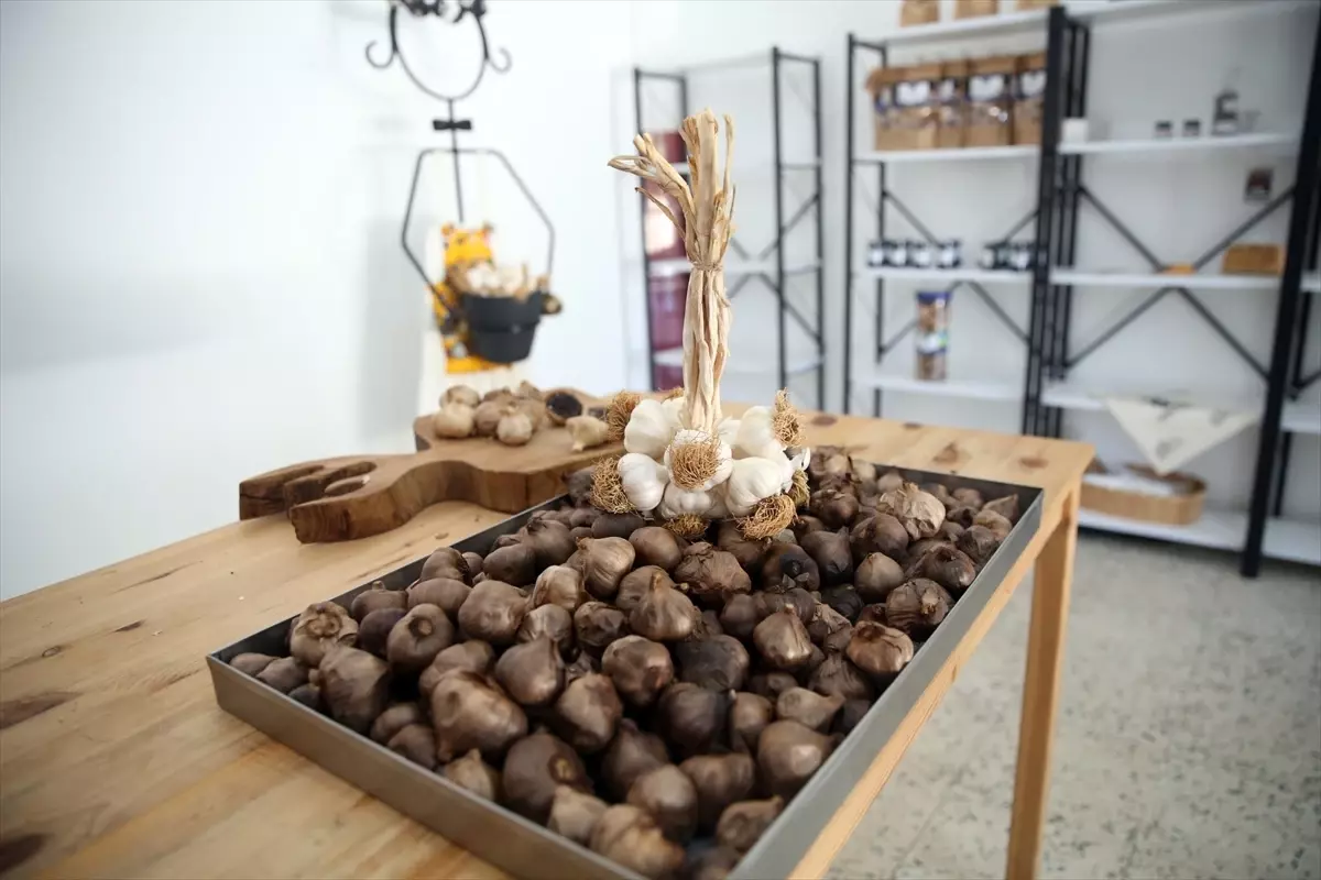 Siyah Sarımsak Sabunu Türkiye\'de Satışta