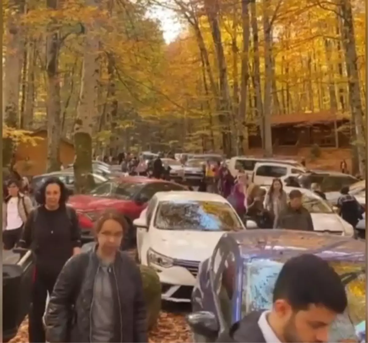 Yedigöller\'e Sonbahar Ziyareti