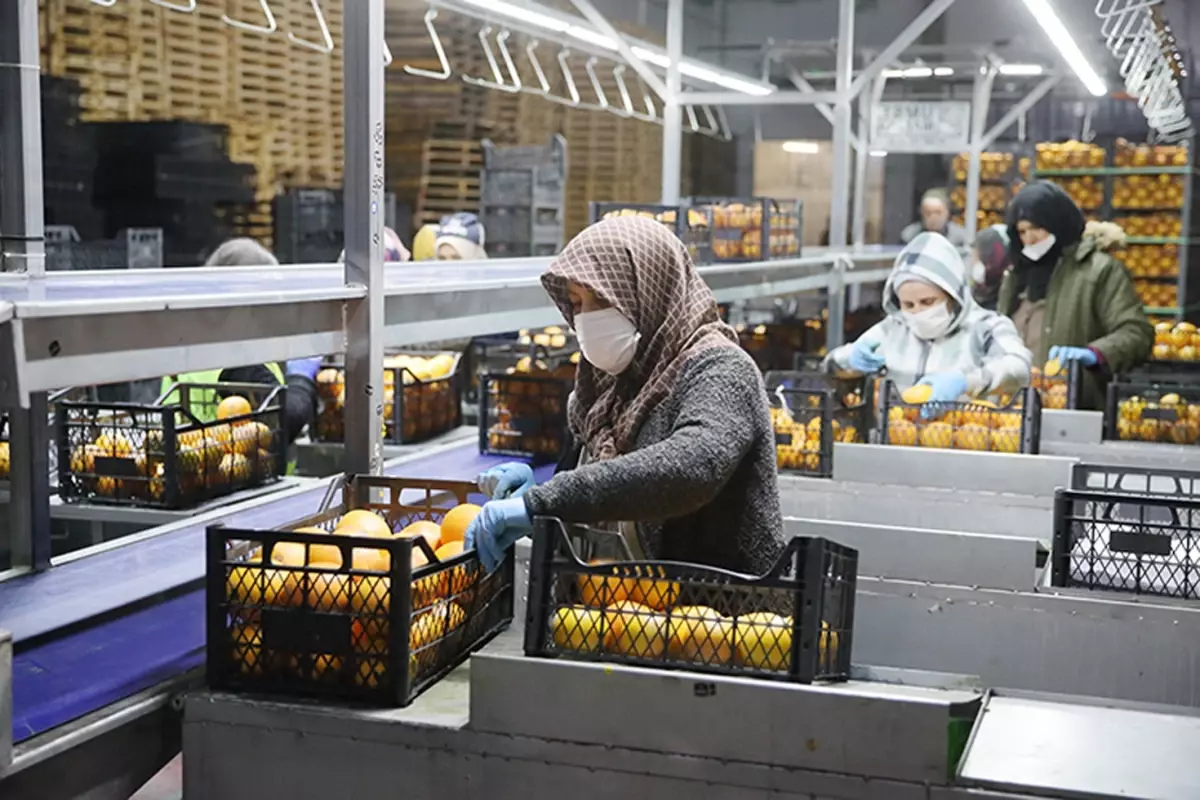 25 ülkeye ihracat yapıyordu! Türkiye\'nin gıda devi iflasın eşiğinde