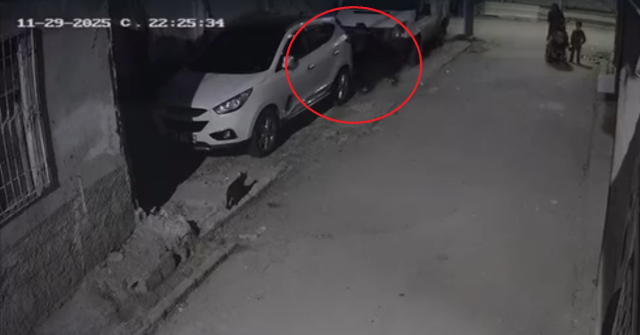 Başını otomobile çarptı, yere fırlattı! Küçük çocuğa dehşeti yaşatan bakın kim çıktı