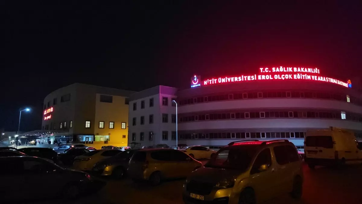 Çorum\'da İlaçlama Sonrası Zehirlenme Şüphesi