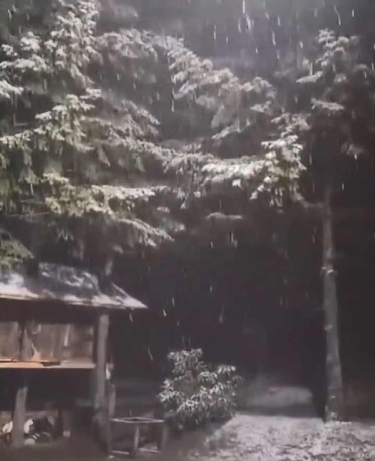 Kartepe\'ye Mevsimin İlk Karı Düştü