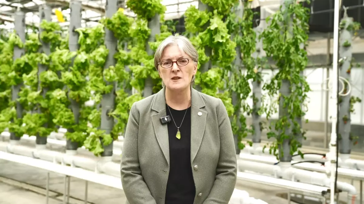 TENMAK\'tan Kuraklığa Dayanıklı Bitki Geliştirme