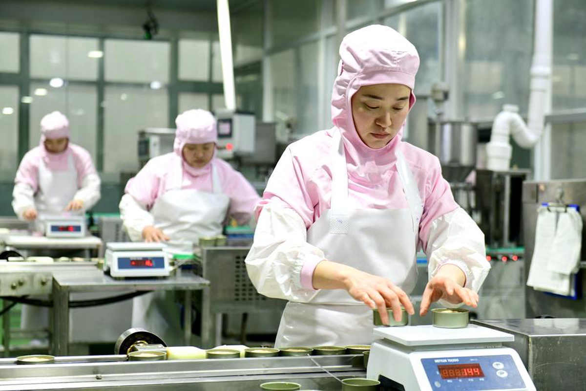 Caoxian Evcil Hayvan Ekonomisinde Büyüyor