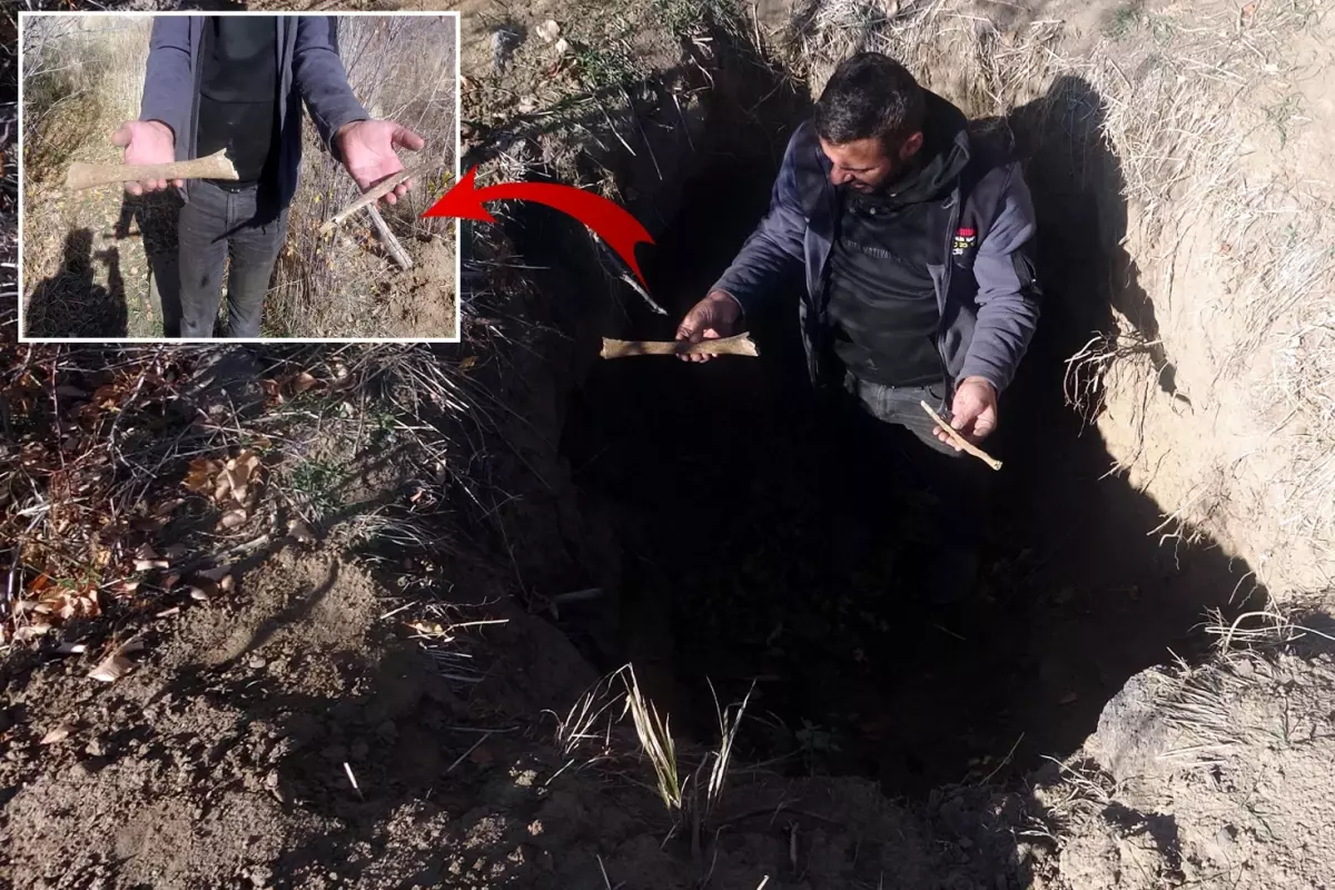 Define avcıları tarihi mezarlığı talan edip, kemikleri çıkarmış