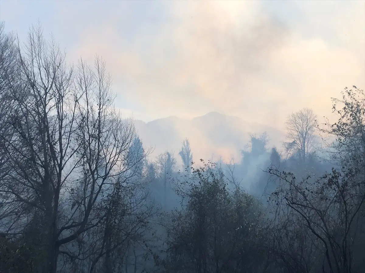 Hopa\'da Yangın Kontrol Altına Alındı