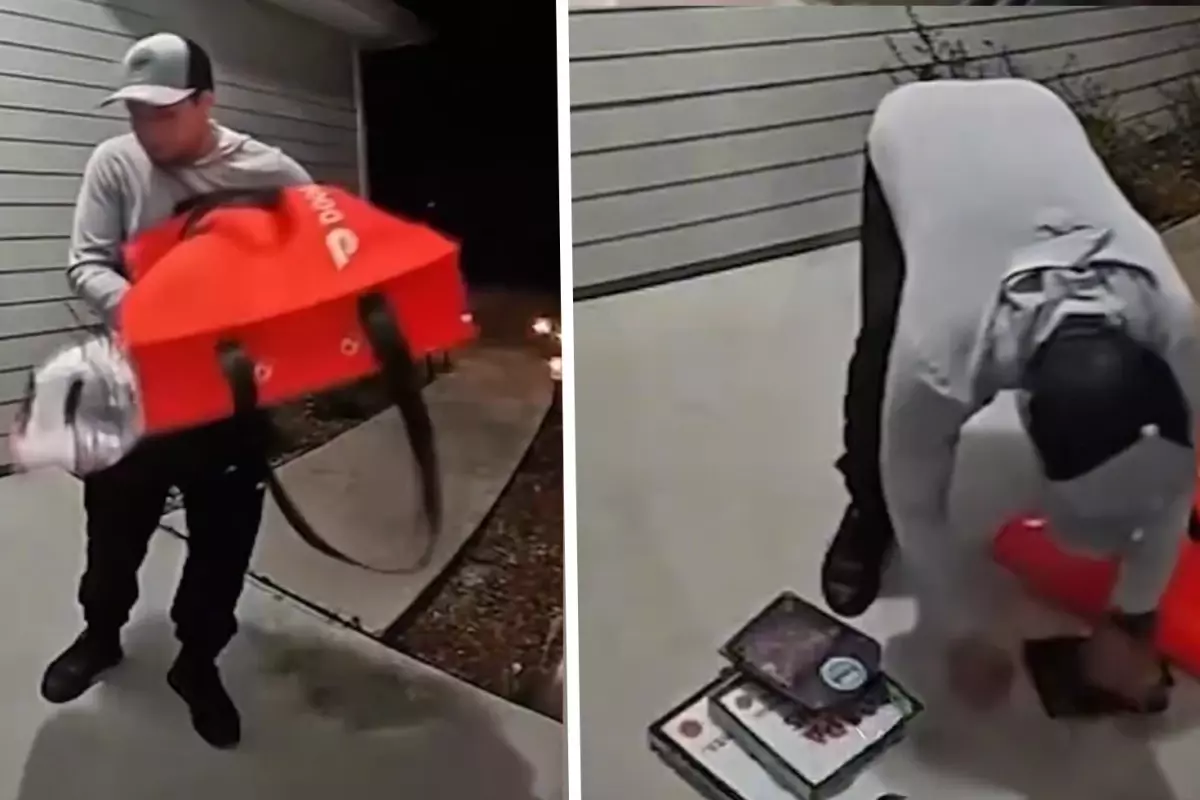 Kuryeden mide bulandıran teslimat: Yere düşen tavukları kutusuna geri koydu!