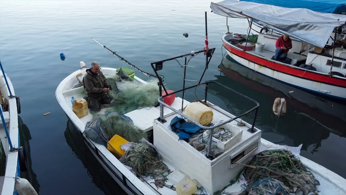Payas\'ta Pelikan \'Suzi\' Barınağın Maskotu Oldu