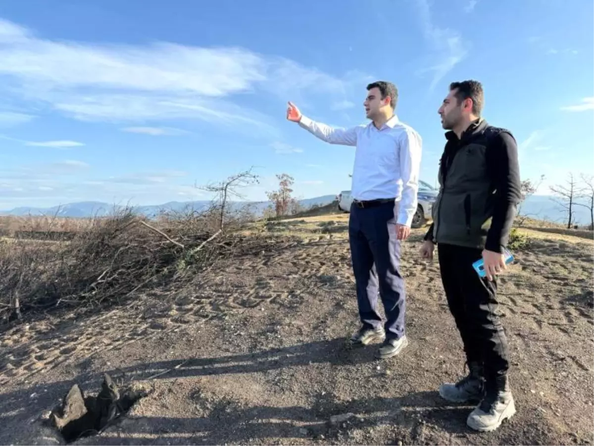 Osmaneli Ormanları Yeşerecek