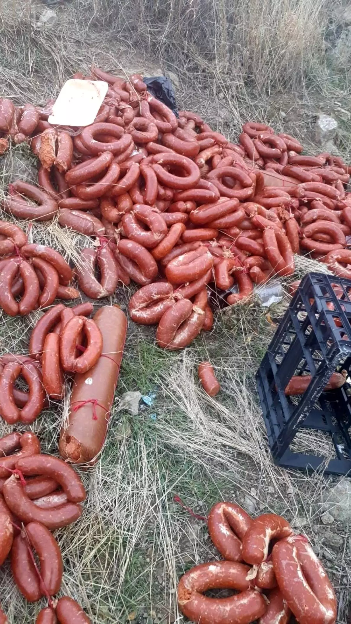 Yüzlerce kilo et ürünü boş araziye atıldı