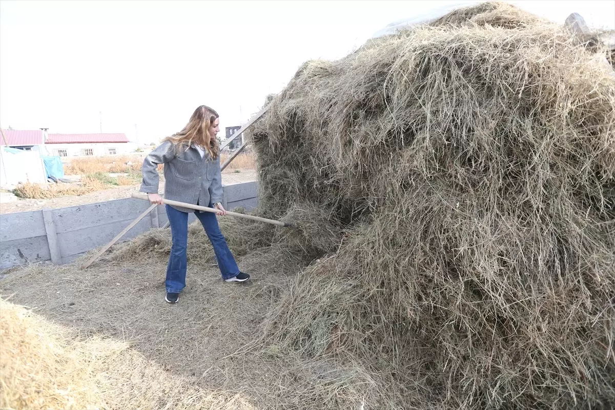 İstanbul\'dan kaçıp köyüne döndü, modelistliği bırakıp çoban oldu
