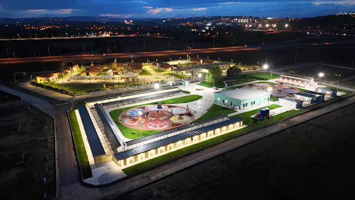 Sakarya\'da Sokak Hayvanları İçin Modern Tesis Açıldı