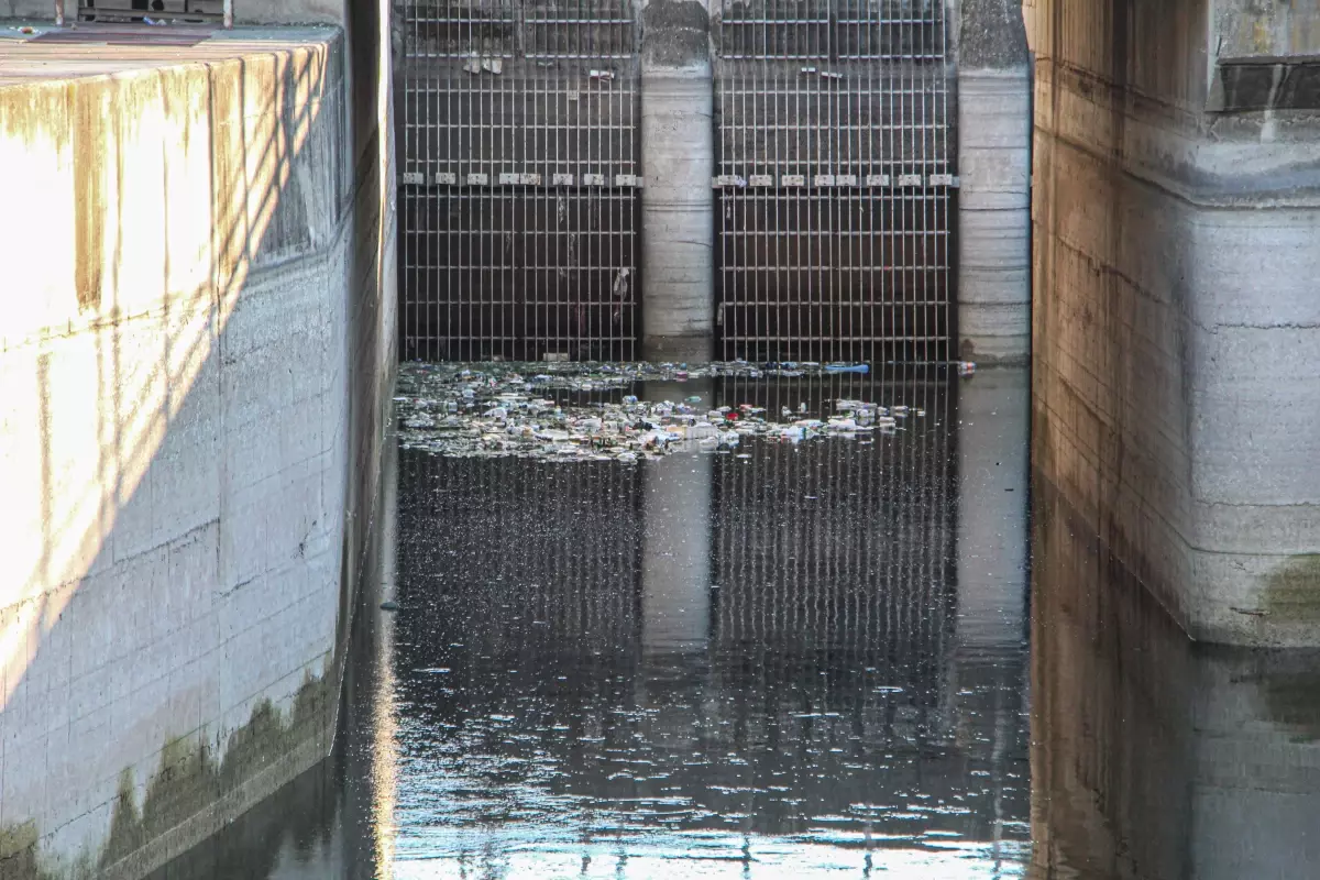 Seyhan Nehri\'nde Kuraklık Nedeniyle Balık Ölümleri