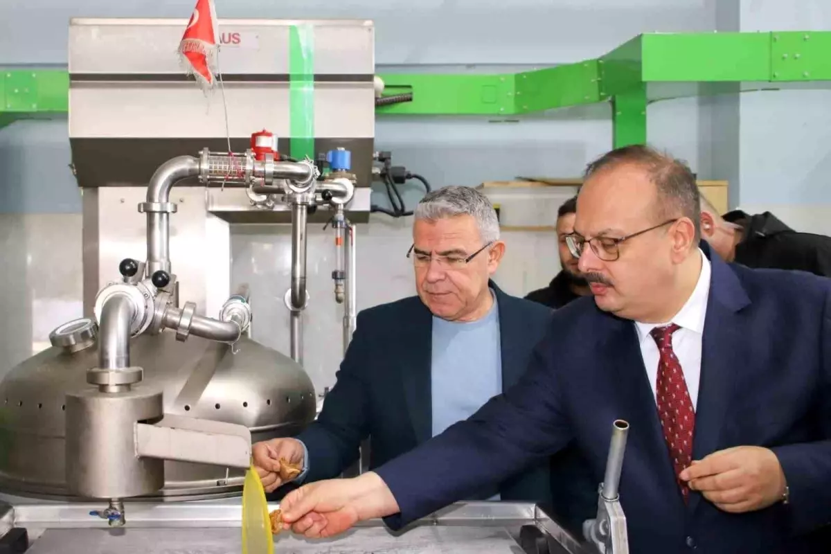 Vali Canbolat, Köşk\'te zeytinyağı sıkım işletmelerinde incelemelerde bulundu