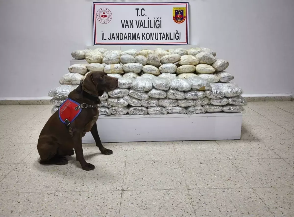 Başkale\'de 60 Kilo Skunk Ele Geçirildi