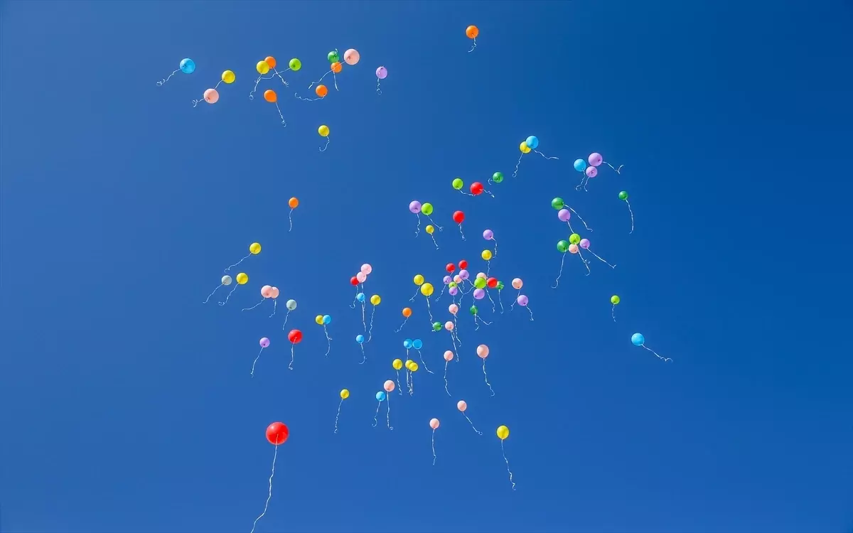 Diyarbakır\'da Engelliler Günü Kutlandı