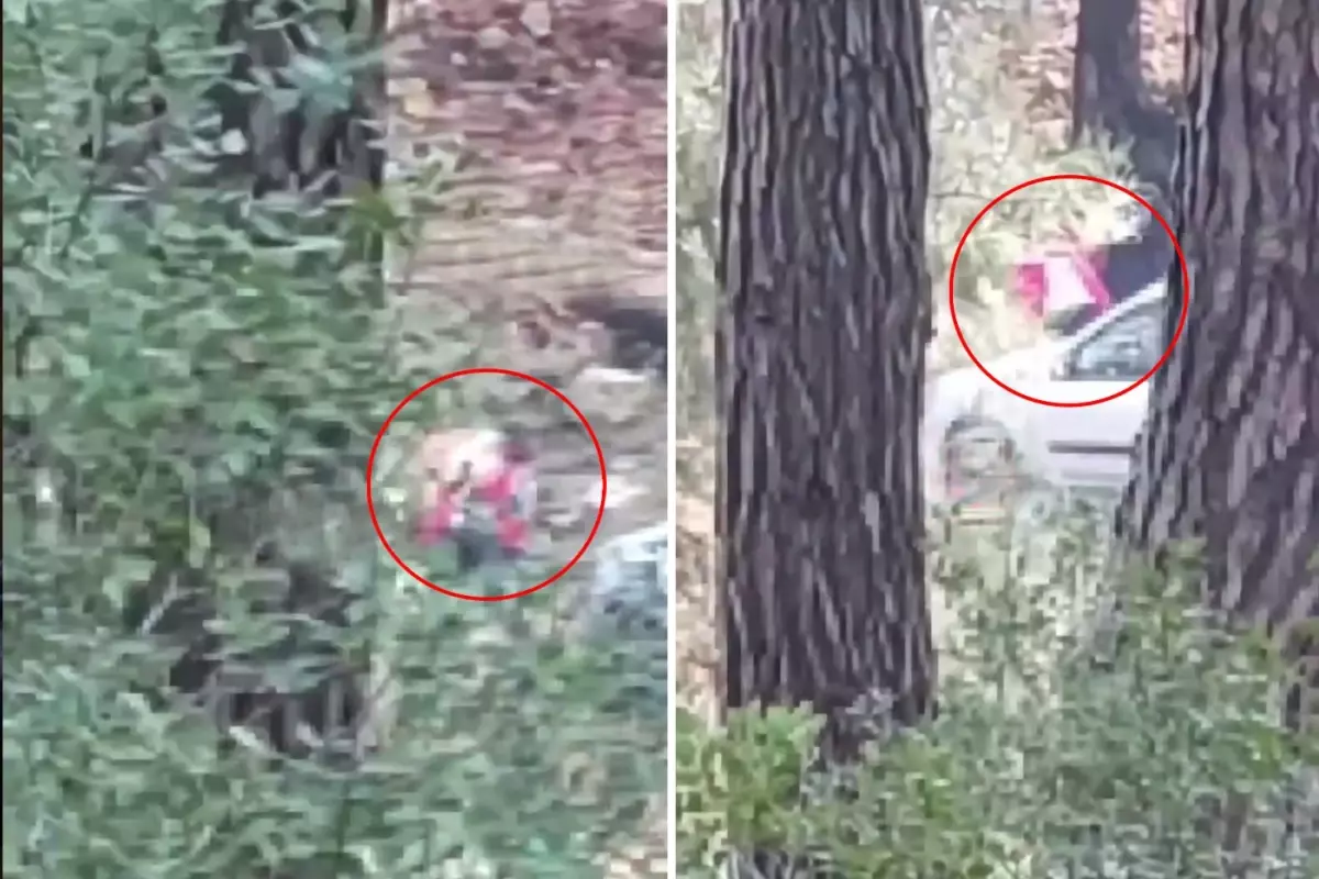 Görüntü İzmir\'den! Sesleri duyup önce kayda aldı, sonra polisi aradı