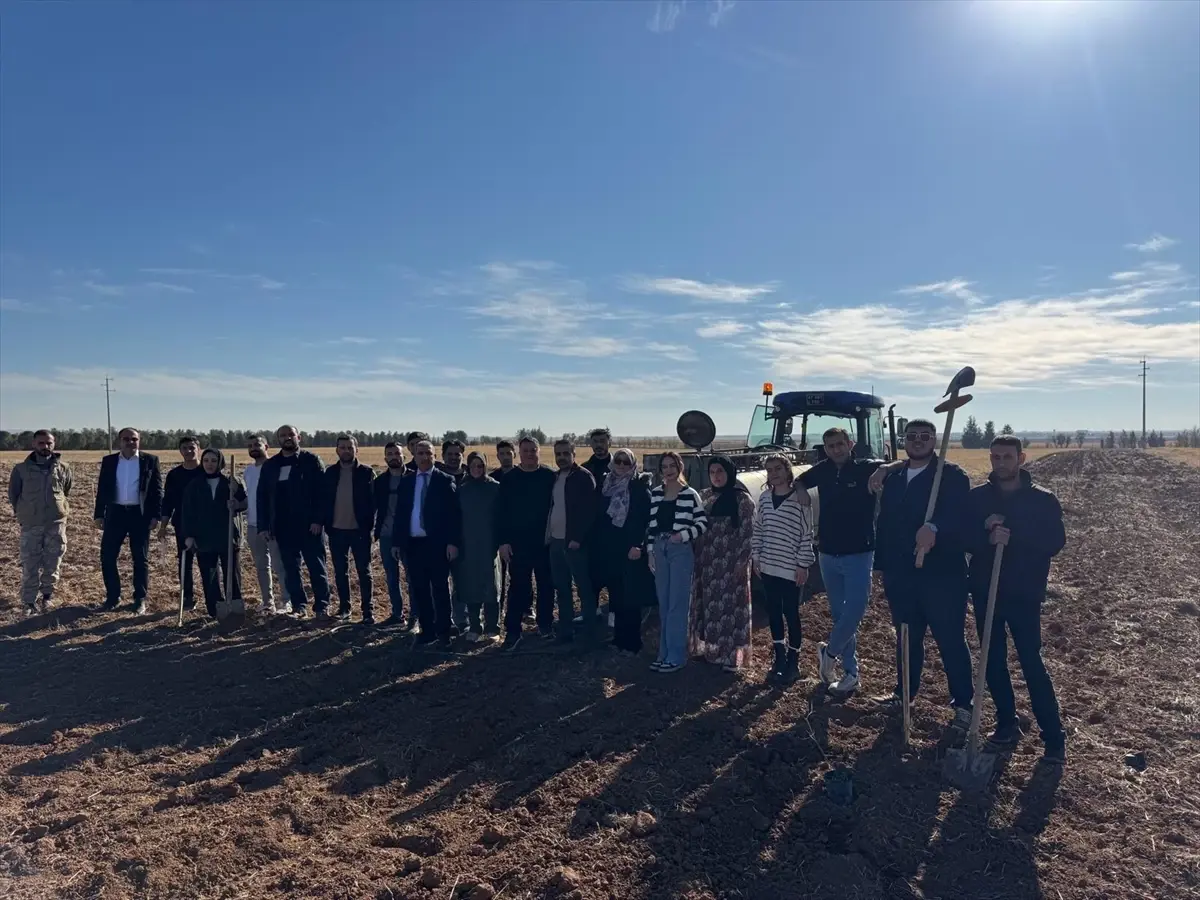 Mardin Üniversitesi\'nde Zeytin Fidanı Dikimi