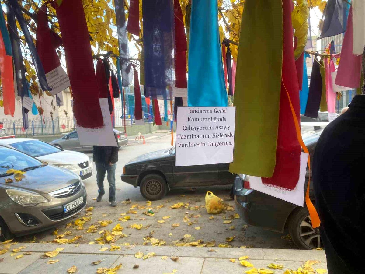 Memurlar Dilek Ağacı Kurdu