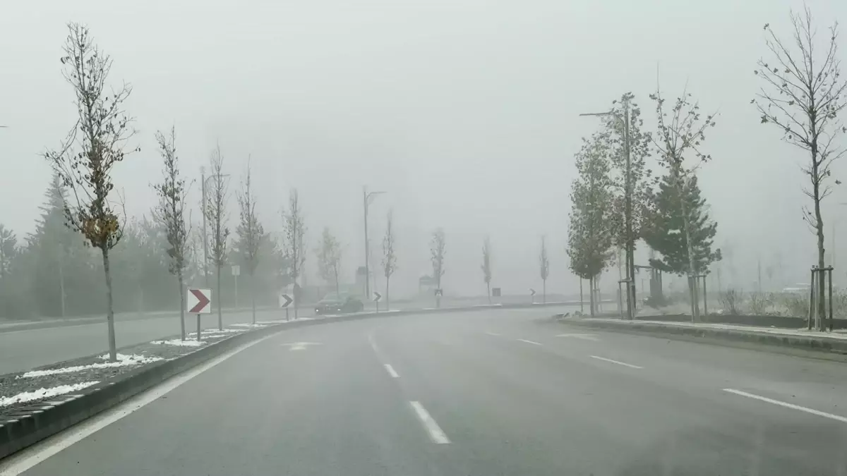 Sivas\'ta Yoğun Sis Etkili