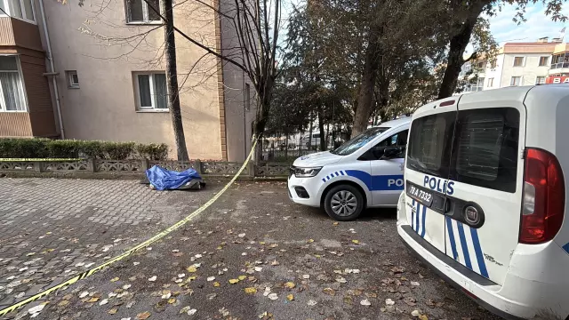 Yabancı uyruklو دانشجوی دانشگاه در جاده به صورت بی‌جان پیدا شد