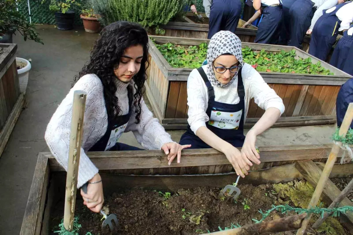 Zeytinburnu\'nda ergoterapi öğrencileri engeli olan bireylerle birlikte fide ekti