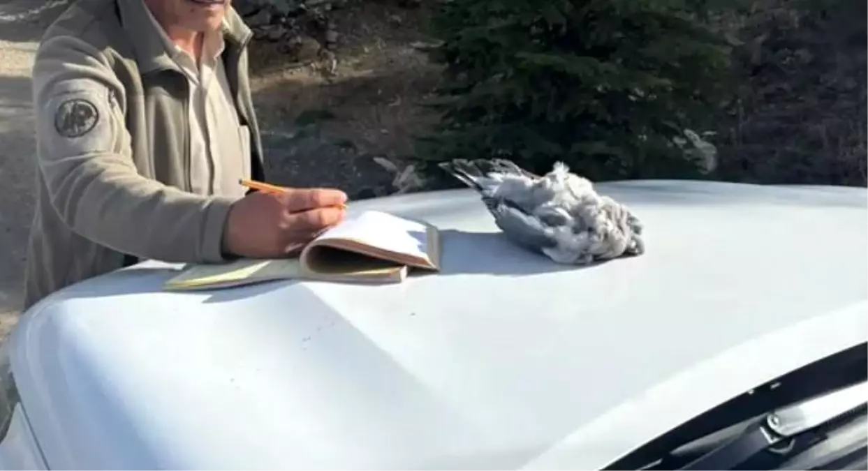 Burdur\'da Kaçak Avcılığa Ceza