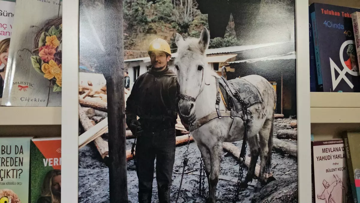 Madenci Alaattin\'in Yer Altı Anıları