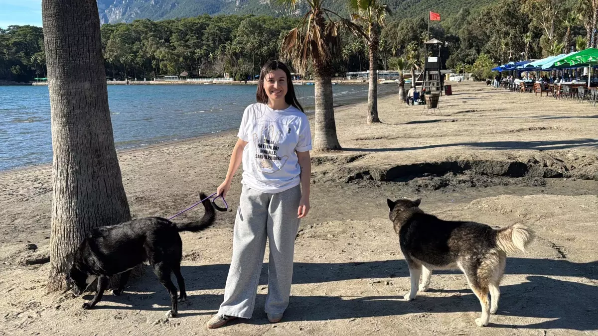 Akyaka\'da Sokak Köpekleri İçin Sahiplendirme Kampanyası