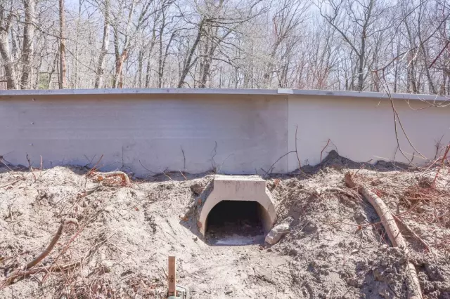 Kurbağaların rahatça çiftleşmesi için yapılan aşk tünelinde inşaat sona erdi