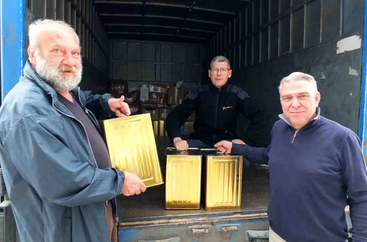 Burhaniye\'de Zeytin Hasadı ve Zeytinyağı Sevkiyatı Başladı