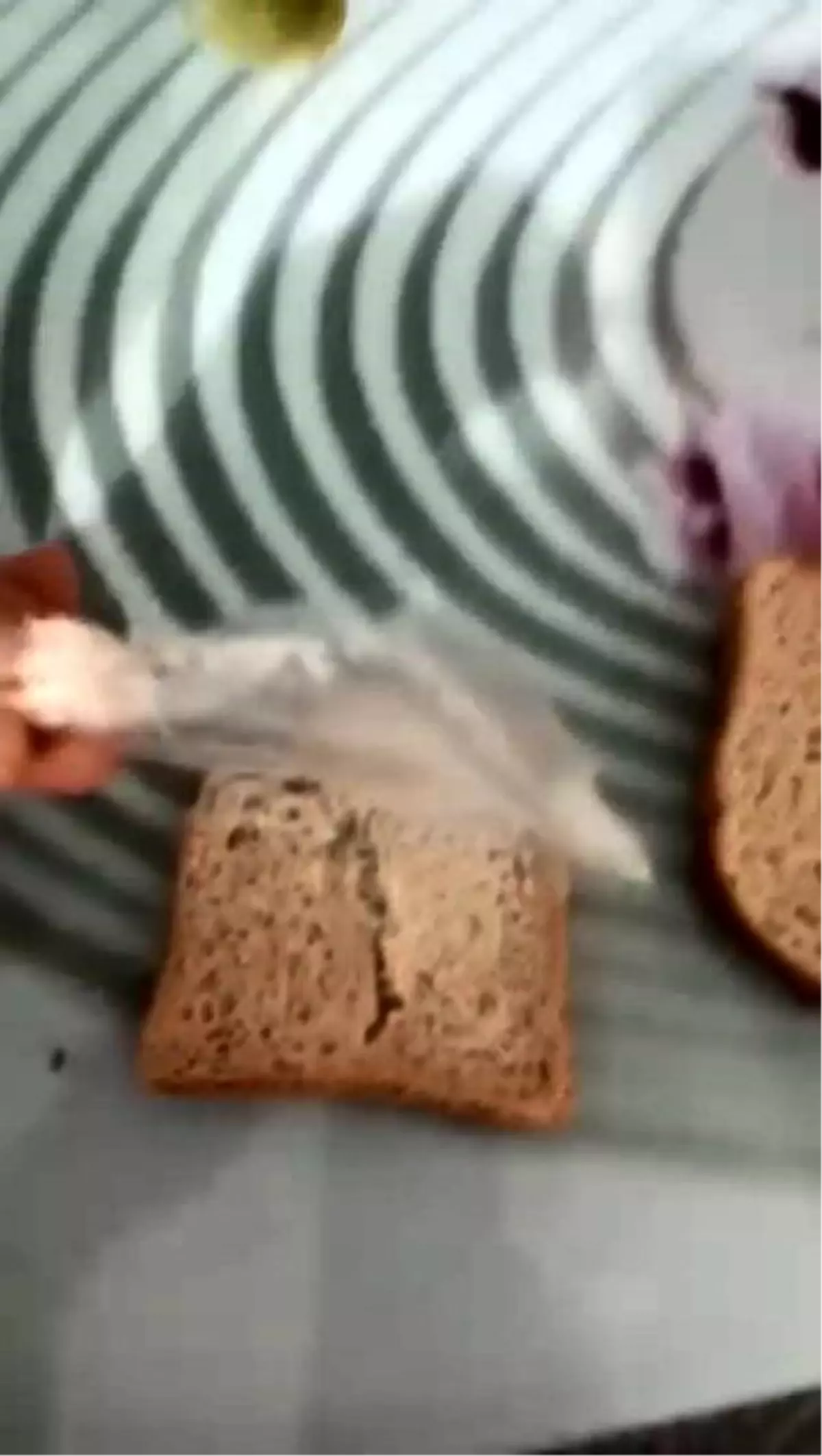 Marketten aldığı ekmeğin içinden çıkanı görünce gözlerine inanamadı