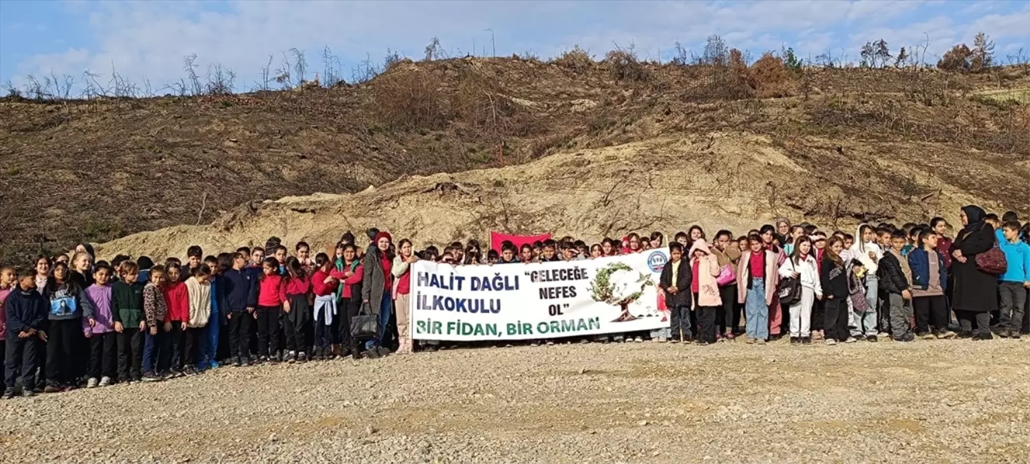 Öğrenciler Orman İçin Fidan Dikti