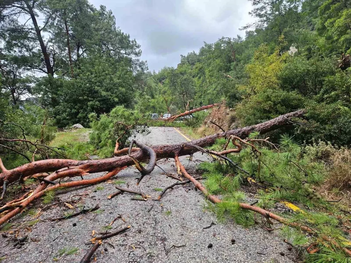 Menteşe Akbük\'te şiddetli yağış ve rüzgar etkili oldu