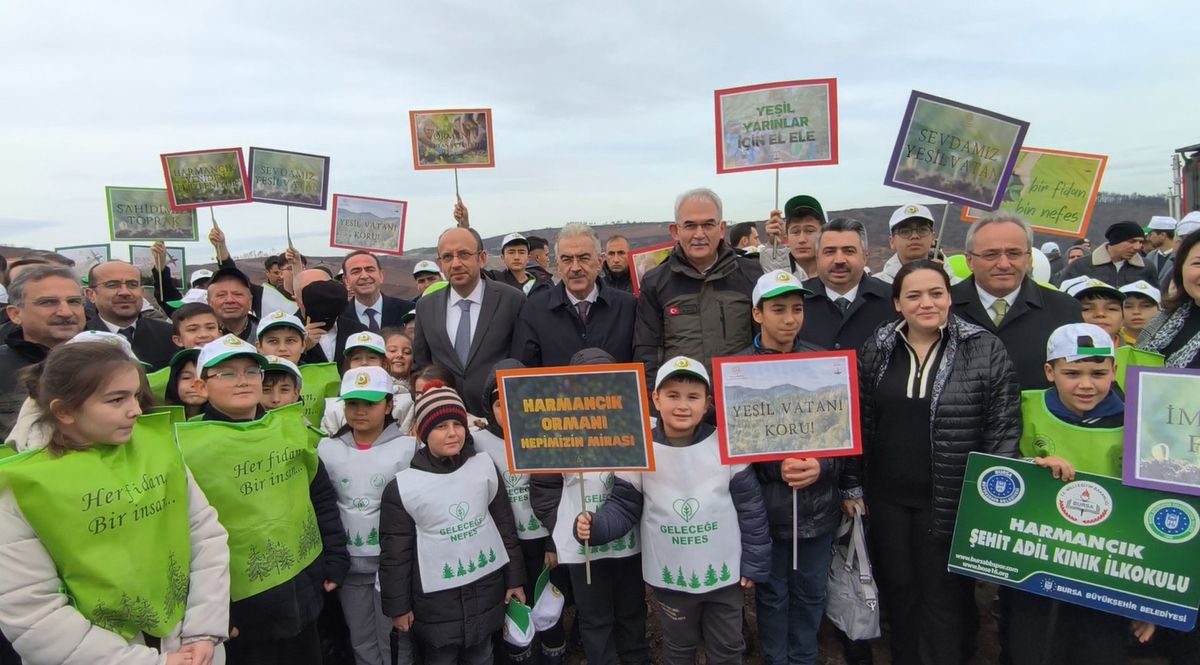 Yangından Zarar Gören Ormanlar Yeniden Yeşerecek