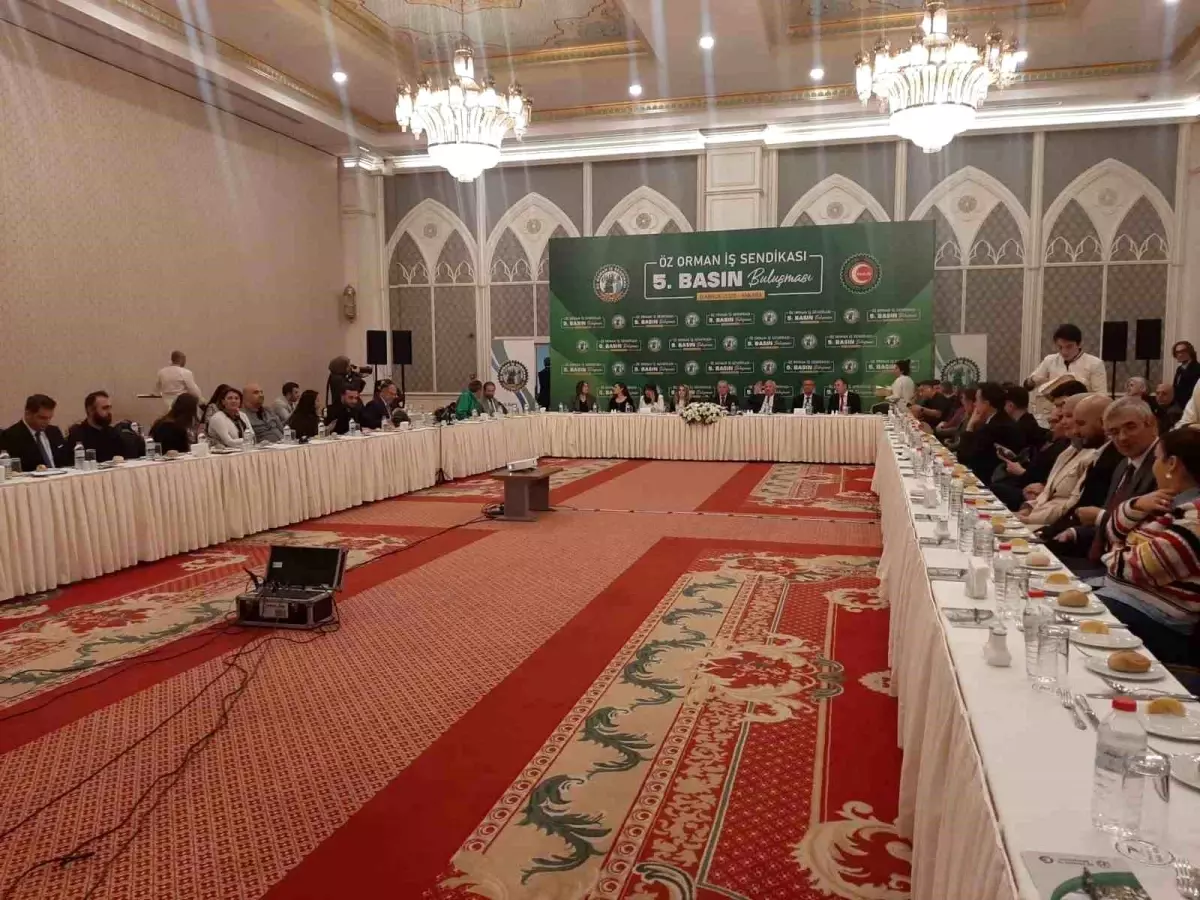 Basın İşçileri Hatıra Ormanı