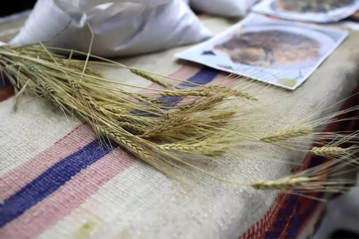 Bölgenin değeri: Ardahan Kavılcası