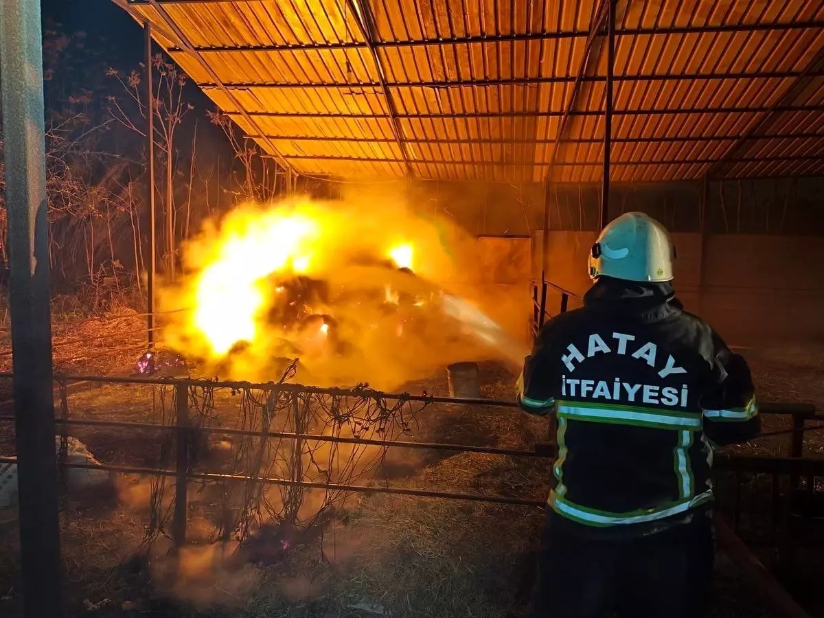 Defne\'de Samanlık Yangını Kontrol Altına Alındı