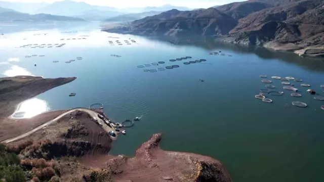 Denizi olmayan Tokat'ın somonları dünya sofralarına ulaşıyor Denizi olmayan Tokat'ın somonları dünya sofralarına ulaşıyor