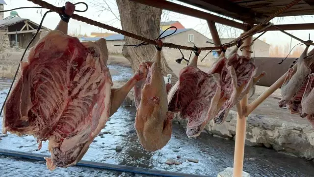 Bölge halkının yüzünü güldüren dönem geldi: Tanesini 6 bin liraya satıyorlar Bölge halkının yüzünü güldüren dönem geldi: Tanesini 6 bin liraya satıyorlar