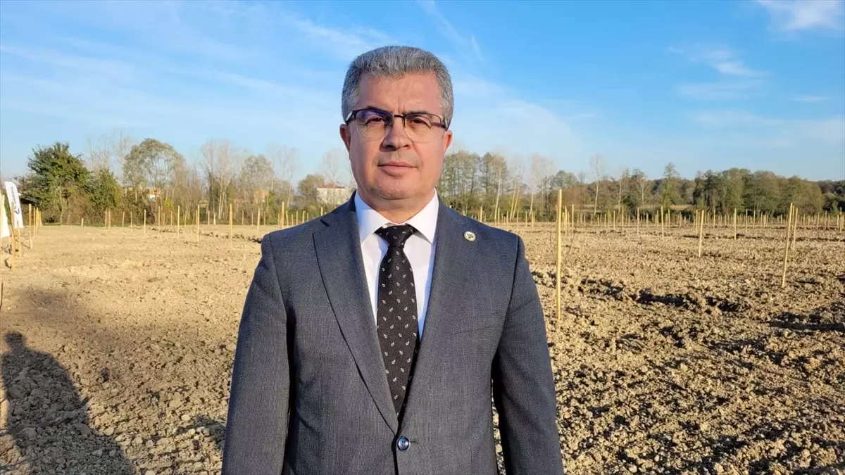 Tekkeköy\'de Mor Patlıcan Projesi