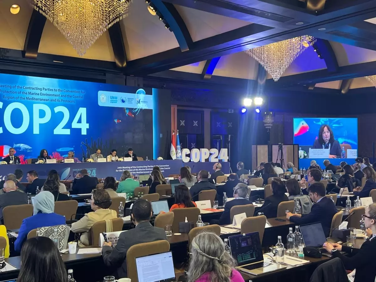 Kahire Deklarasyonu Kabul Edildi