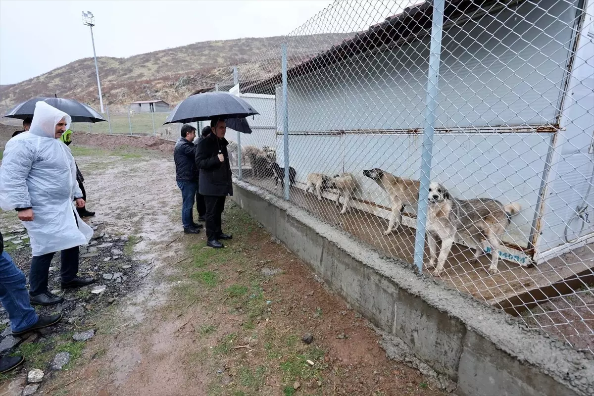 Vali Karakaya Sokak Hayvanları Bakımevi\'ni İnceledi