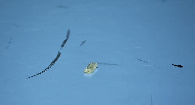 Göztepe-Beşiktaş kadın voleybol maçında olay! Araya emniyet girdi